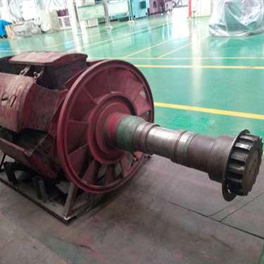 北京某變頻柜廠家試驗用電機T3200、1730-10KV轉子磁極線圈修復.jpg