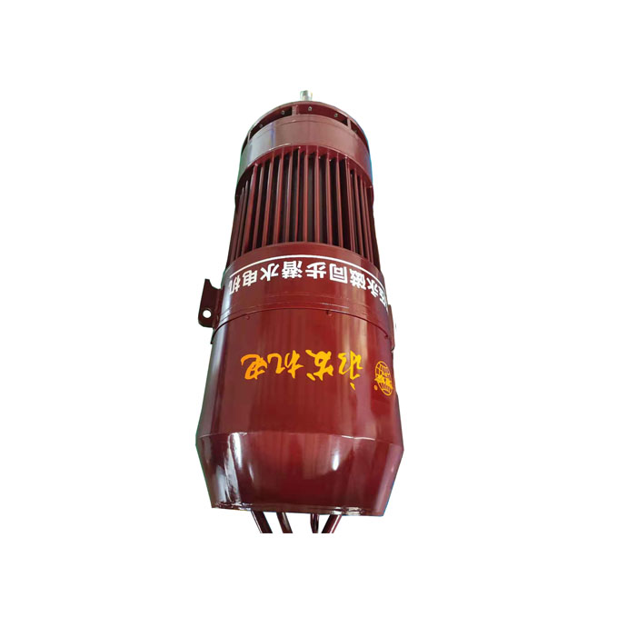 高壓永磁潛水電機(jī)